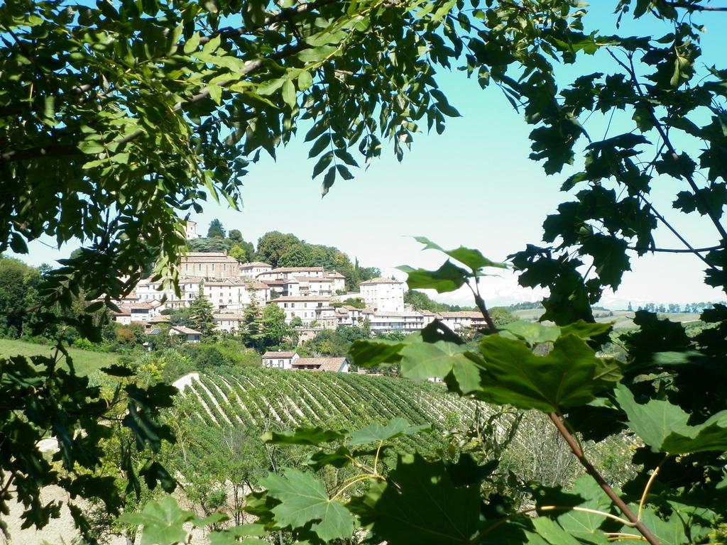 La Terrazza Sul Monferrato Apartment Ozzano Monferrato Bagian luar foto