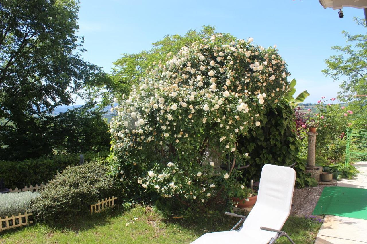 La Terrazza Sul Monferrato Apartment Ozzano Monferrato Bagian luar foto